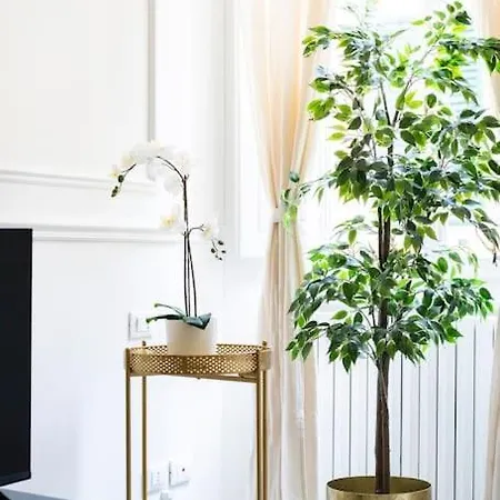 Duomo Deluxe Apartment, Διαμέρισμα Φλωρεντία